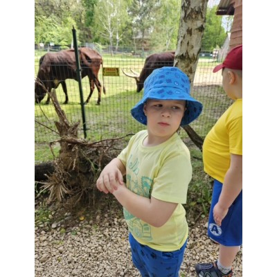 Dwóch chłopców stoi przy ogrodzeniu w zoo, w tle dwa żubry na trawie.