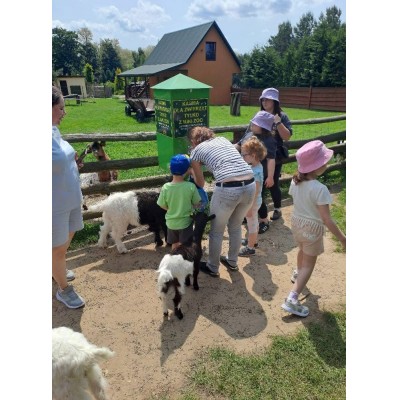 Dzieci i dorośli przy ogrodzeniu mini zoo karmią kozy przy zielonym pojemniku z karmą.
