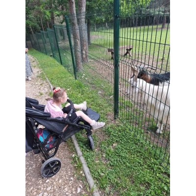 Dziewczynka siedzi w wózku obok ogrodzenia, za którym są kozy na trawie.