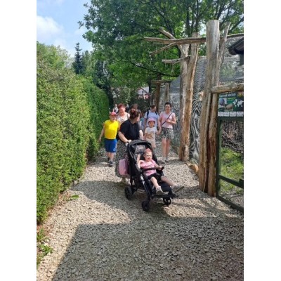 Ludzie spacerują kamienistą ścieżką w zoo obok ogrodzenia wybiegu dla zwierząt.