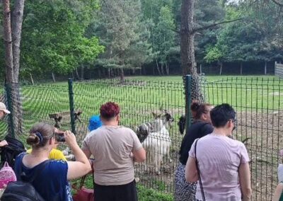 Osoby oglądają kozy za ogrodzeniem w zagrodzie leśnej w otoczeniu zieleni.