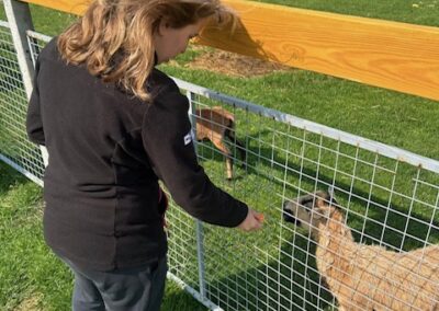 Kobieta karmi owcę przez metalowe ogrodzenie na zielonej łące na zewnątrz.