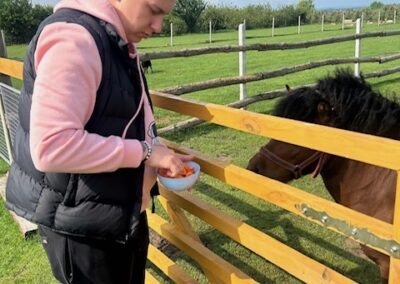 Mężczyzna karmi konia z miski przez drewniane ogrodzenie na zielonym polu.