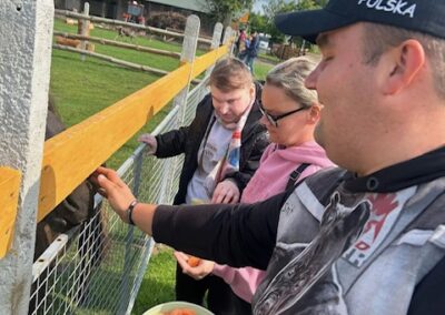 Trzy osoby karmią zwierzęta marchewkami przez ogrodzenie w zagrodzie na świeżym powietrzu.